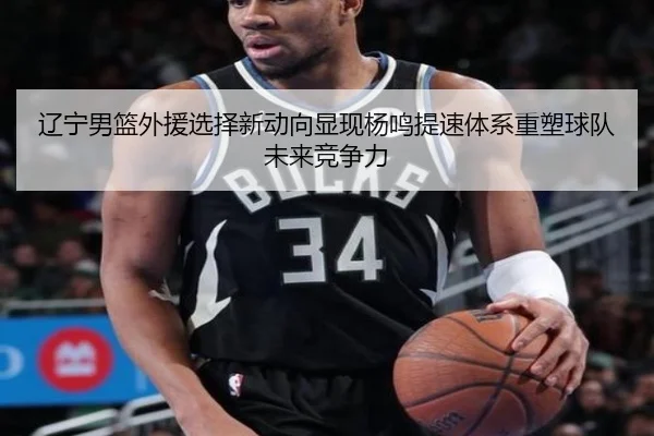 liao-ning-nan-lan-wai-yuan-xuan-ze-xin-dong-xiang-xian-xian-yang-ming-ti-su-ti-xi-zhong-su-qiu-dui-wei-lai-jing-zheng-li-2-553.jpg