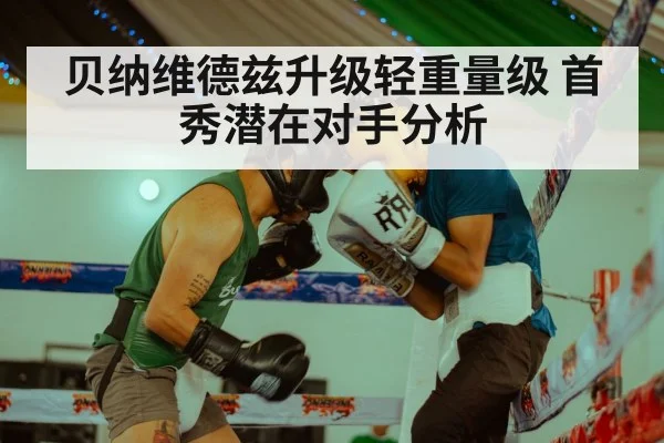 贝纳维德兹升级轻重量级 首秀潜在对手分析